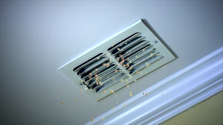 Best Ductwork Cleaning Services  in Bladensburg, MD