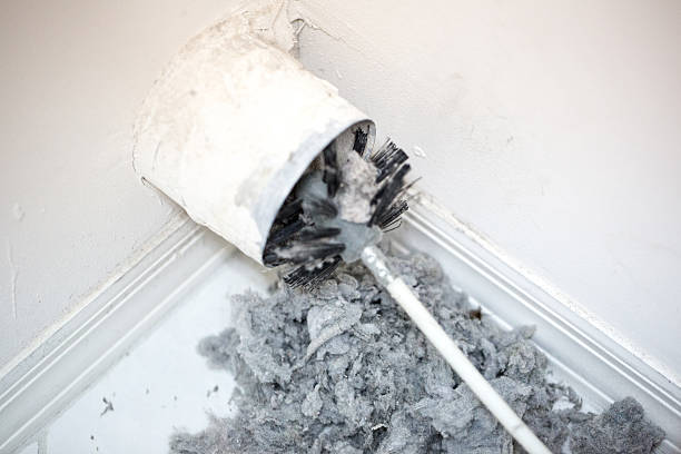 Air Duct Mold Removal in MD